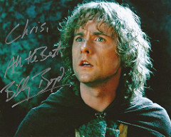 Peregrin (Pippin) Took