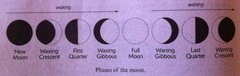 Phases of the moon