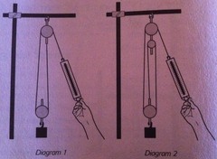 Pulley/block