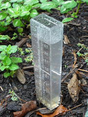 rain gauge