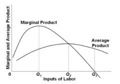 Refer to the diagram, where variable inputs of labor are being added to a constant amount of property resources. The total output of this firm will cease to expand: