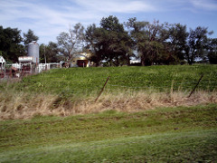 rural