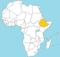 Significance of King Menelik II in Ethiopia