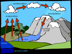 Water Cycle