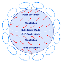 westerlies