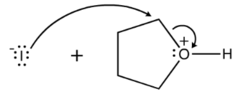 Draw the reaction between Iodine ion and protonated tetrahydrofuran