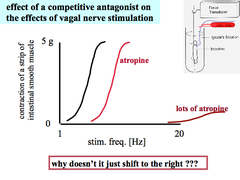 Experiment: Competitive Antagonist (Atropine) on Effects of Vagal Nerve Stimulation