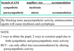 Ophthalmologic Effects of Muscarinic Antagonists