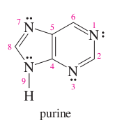 pyrimidine + imidazole =
