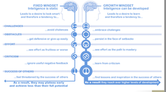 The two types of mindsets that Stanford University researched are called?