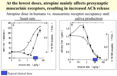 What happens when Atropine is given at very low doses?