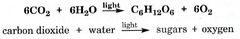 (short answer)  Write the overall equation for photosynthesis in both symbols.