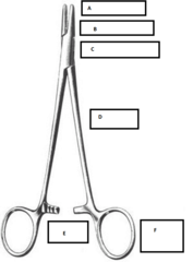 A- Tip B- Jaw C- Box Lock D- Shank E- Ratchet F- Ring Handle Needle Holders