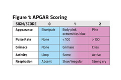 APGAR