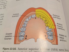 ASA: Area anesthesized