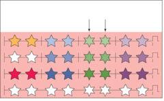 Because of the 5th and 6th complex differences from the rest, you can interpret complexes appearing in leads _______________ and make the right diagnosis and interpretation.