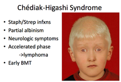 *Chédiak-Higashi syndrome*