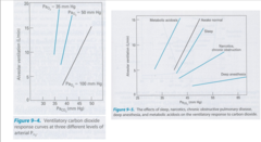 CO2 response curve