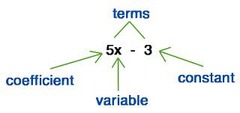 coefficient