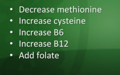 Commonalities for all 3 forms of homocystinuria