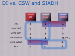 Diabetes Insipidus vs Cerebral Salt Wasting vs SIADH