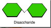 dissaccharide