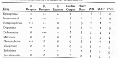 Dobutamine affect on PVR, SVR and MAP? What about HR and Cardiac output? Receptors?