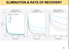 Elimination of inhalation anesthetics