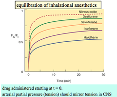Equilibration of Various Inhalational Anesthetics