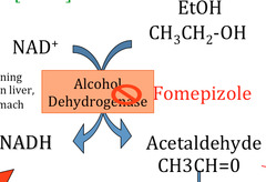 Fomepizole