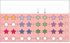 For example, on the figure to the right, the _______________ and _______________ complexes are different from the rest. (6-pointed stars instead of 5-pointed stars).