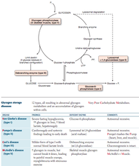 Glycogen synthesis dz's: generallly How many types? Molec path? List?