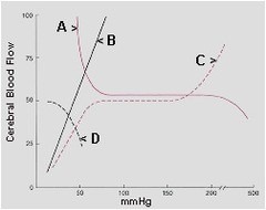 In the graph of cerebral blood flow below, PaO2 would best be represented by curve:  a. A   b. B   c. C  d. D