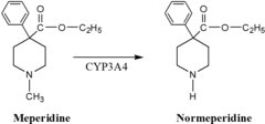 Meperidine active metabolite