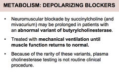 Metabolism: depolarizing blockers