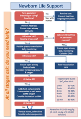 Neonatal resuscitation