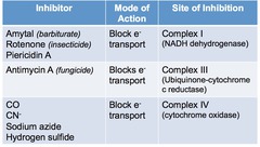 Oxidative phosphorylation poisons: ETC inhibitors?