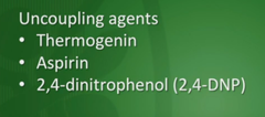 Oxidative phosphorylation proteins: uncoupling agents