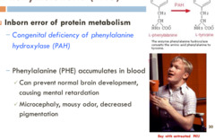 Phenylketonuria: due to...? What does this mean molecularly?