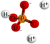 Phosphate Group