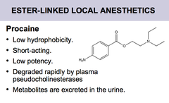 Procaine