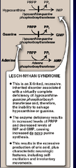 Purine salvage deficiencies: Lesch-Nyhan syndrome