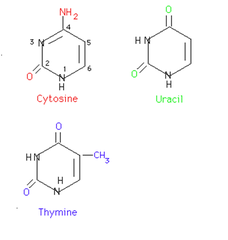 Pyrimidines