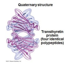 quaternary structure
