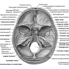 Poa: Anesthesia For Ent And Maxillofacial Surgery 