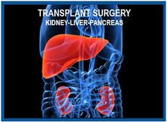 Significant liver or kidney dysfunction in category ASA III is classified as what for local anesthesia? A. Relative contraindication B. Absolute contraindication