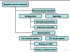 Skeletal muscle relaxants