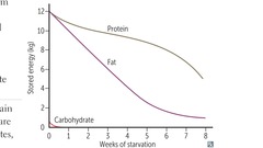 Starvation after day 3