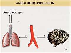 The induction of anesthesia requires transfer of anesthetic from (3)