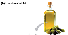 unsaturated fatty acid
